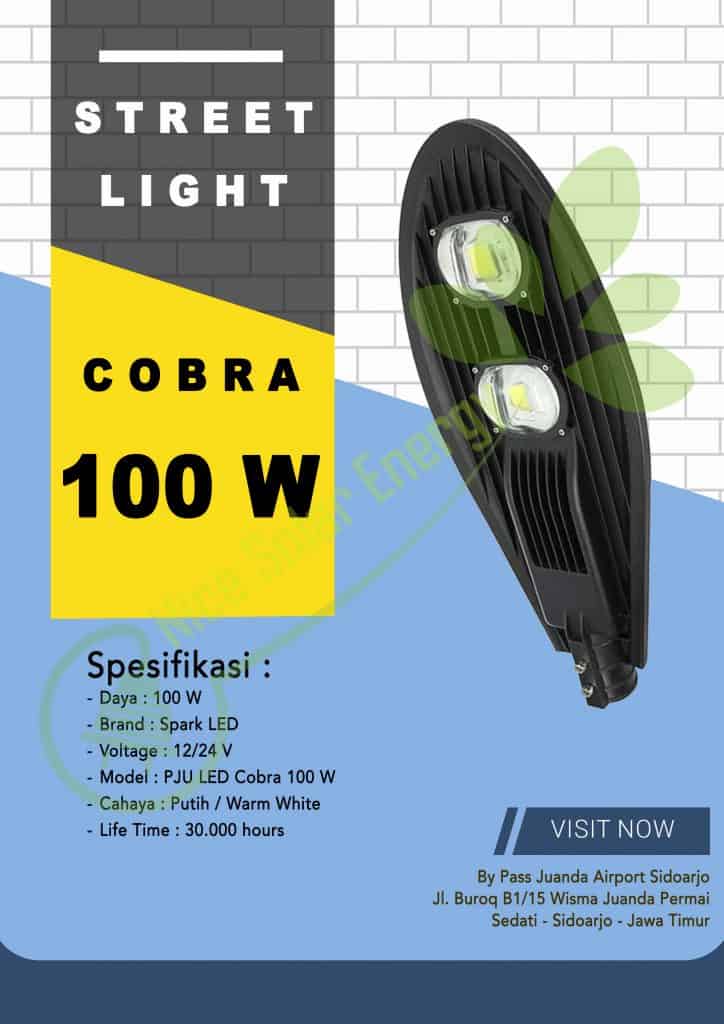 cobra 100w